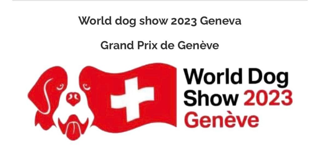 CH. Reno Du Temple D'Adranos - EXCELLENT