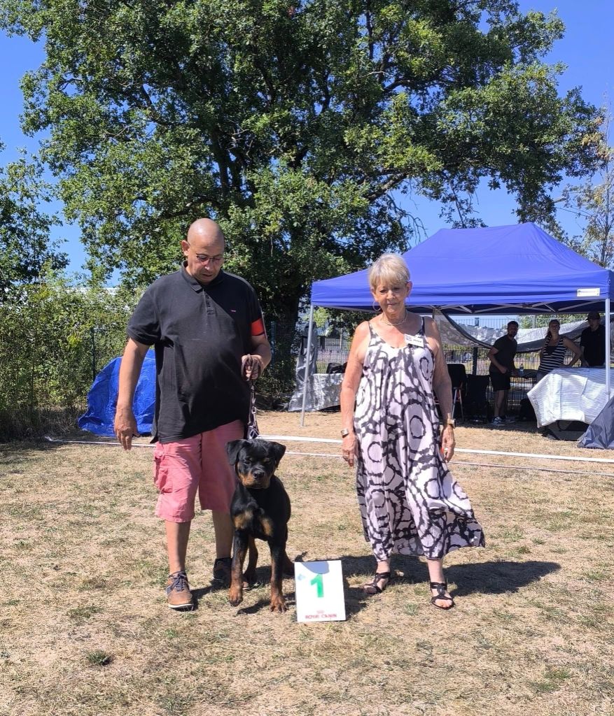 Derro inferno de la noche - 1 TRES PROMETTEUR MEILLEUR PUPPY