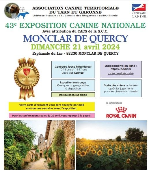 CH. Reno Du Temple D'Adranos - 1 Excellent BOS