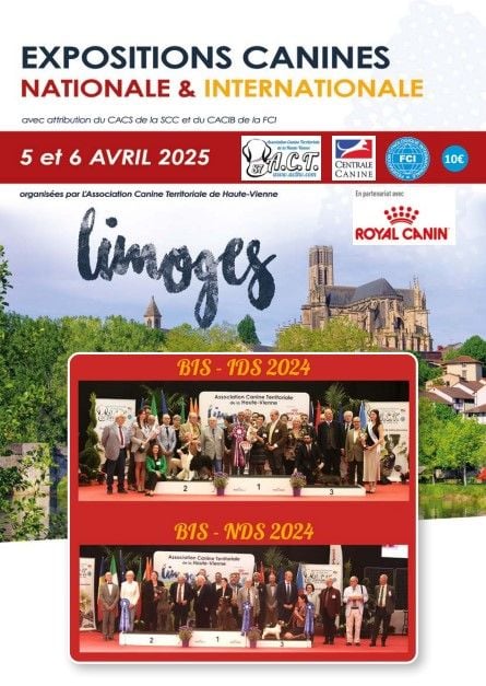 CH. Reno Du Temple D'Adranos - 1 Excellent CACS CACIB BOB