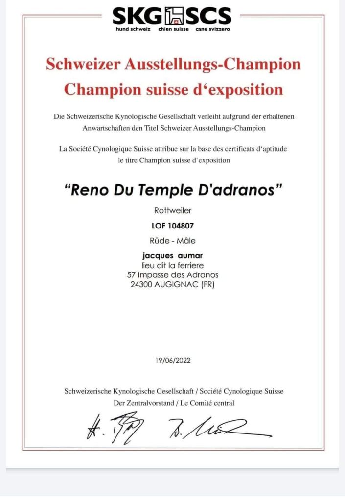 CH. Reno Du Temple D'Adranos - 1 Excellent CAC