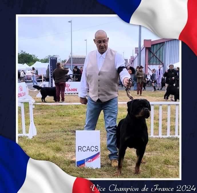 CH. Reno Du Temple D'Adranos - RCACS VICE CHAMPION DE FRANCE