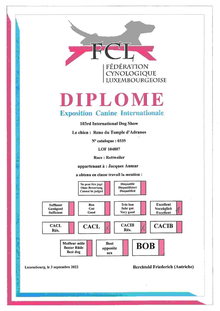 CH. Reno Du Temple D'Adranos - 1 Excellent CACL Reserve CACIB