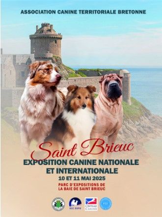 CH. Reno Du Temple D'Adranos - 1 Excellent MEILLEUR DE RACE