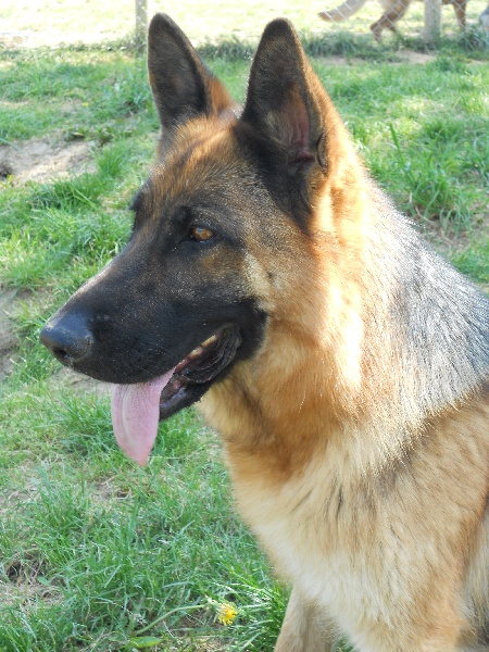 Publication : des sources du Mejean Auteur : BOURDON