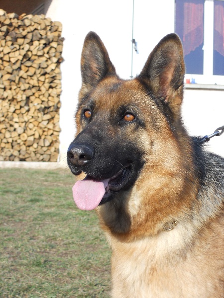 Publication : des sources du Mejean Auteur : BOURDON