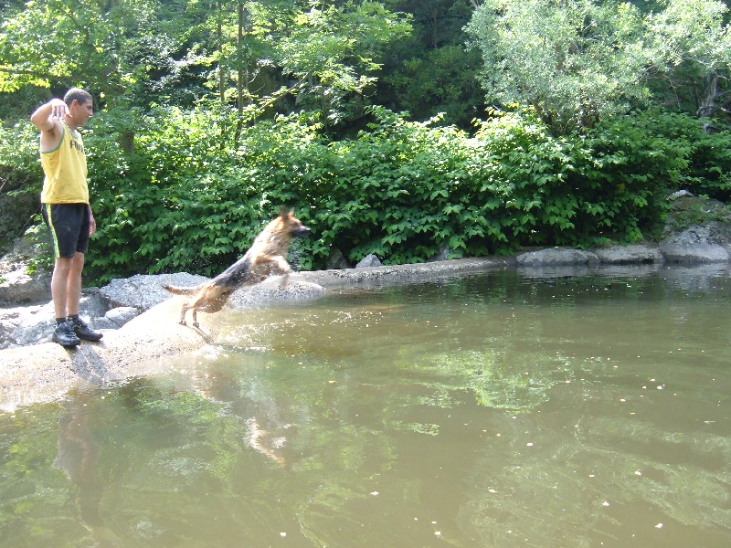 Publication : des Légendaires Nahauri Auteur : SCHMITT JEAN ANTOINE