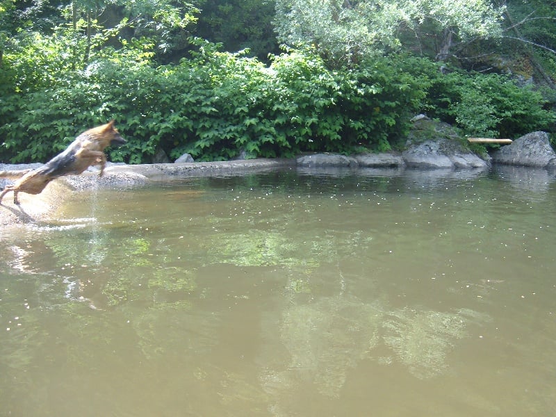 Publication : des Légendaires Nahauri Auteur : SCHMITT JEAN ANTOINE