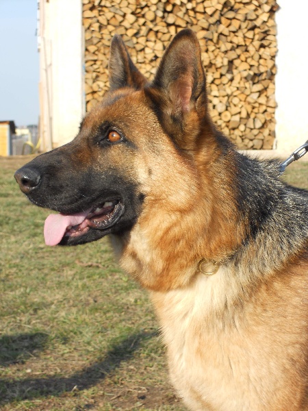 Publication : des sources du Mejean Auteur : BOURDON