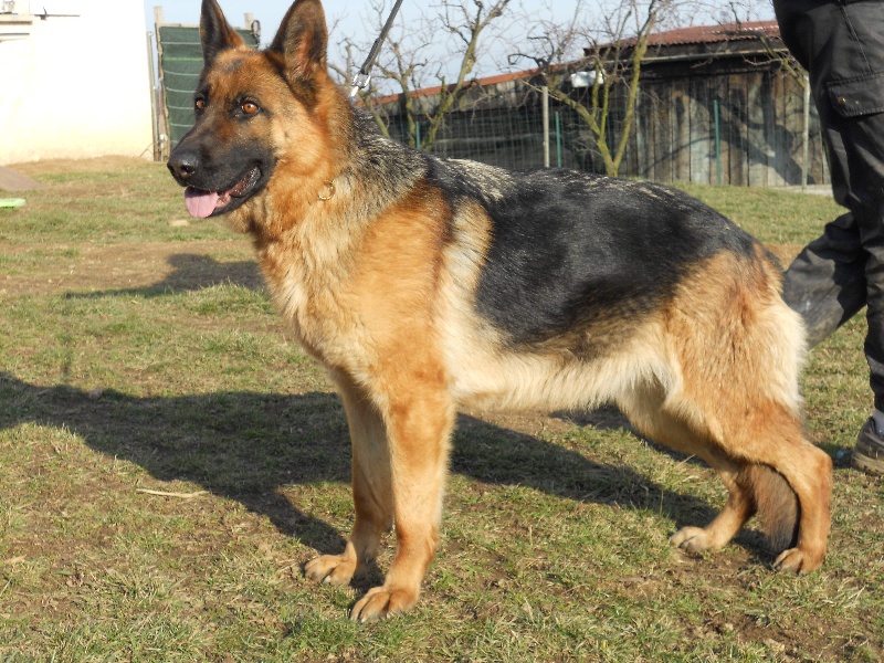 Publication : des sources du Mejean Auteur : BOURDON