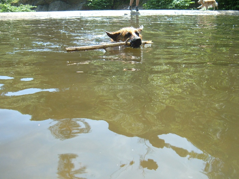 Publication : des Légendaires Nahauri Auteur : SCHMITT JEAN ANTOINE