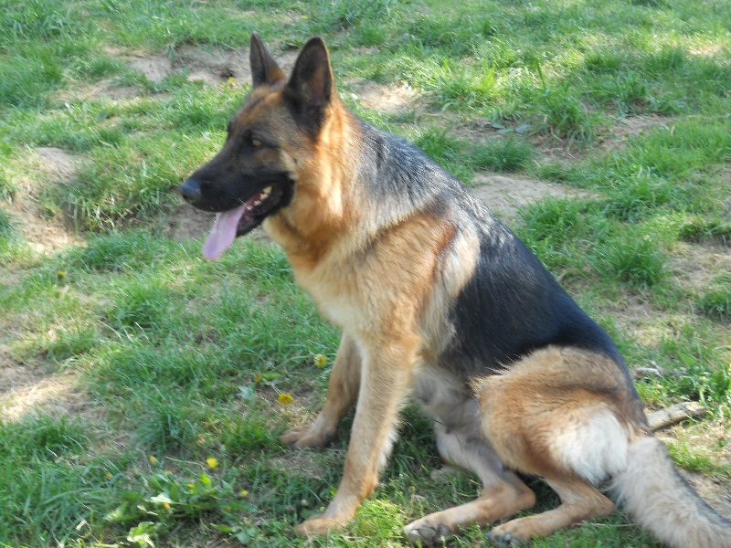 Publication : des sources du Mejean Auteur : BOURDON