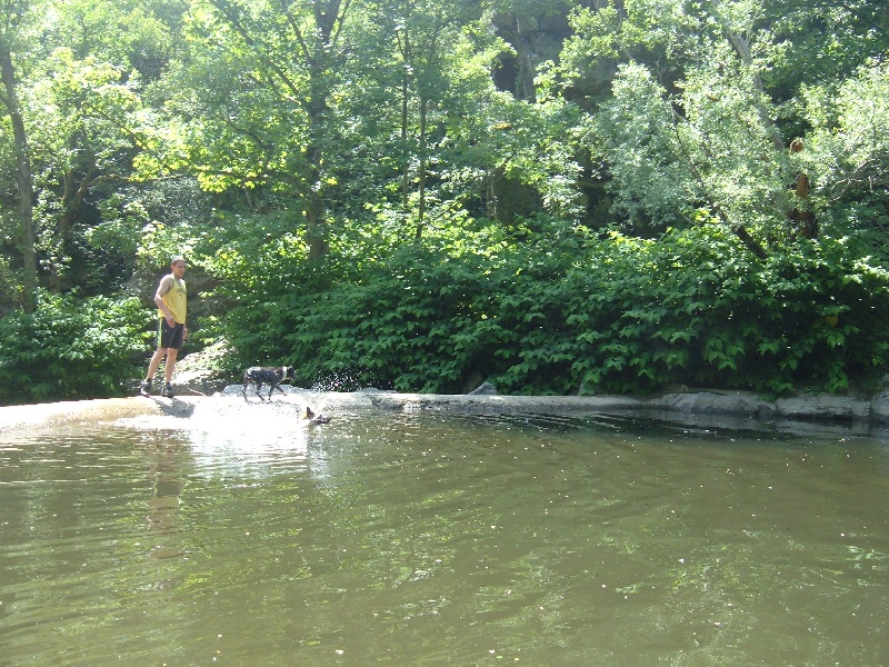 Publication : des Légendaires Nahauri Auteur : SCHMITT JEAN ANTOINE