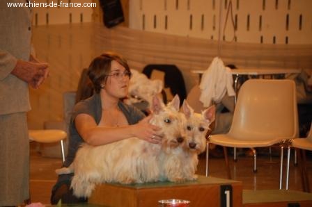 Kinloch Britney - Meilleur couple de scottish froment