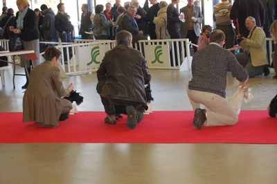 Dee doo dy du clos des fosseaux - 3IEME TRES BON