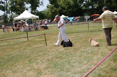 Dee doo dy du clos des fosseaux - 2 IEME EXCELLENT CLASSE INTERMEDIAIRE