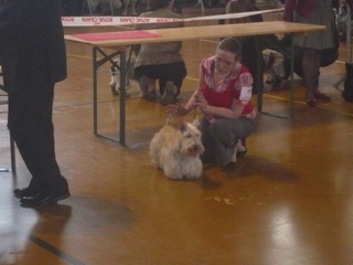 Kinloch Britney - 3 EME EXCELLENT CLASSE OUVERTE