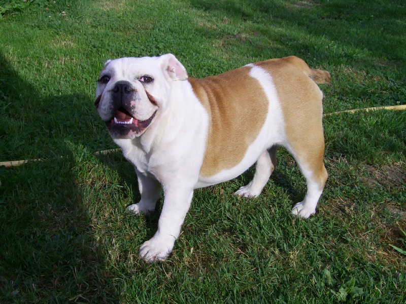 Publication : of the post office du King Arthur Auteur : méchin esther