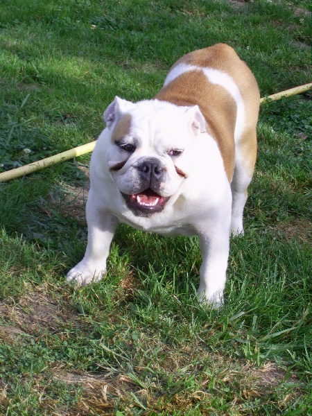 Publication : of the post office du King Arthur Auteur : méchin esther