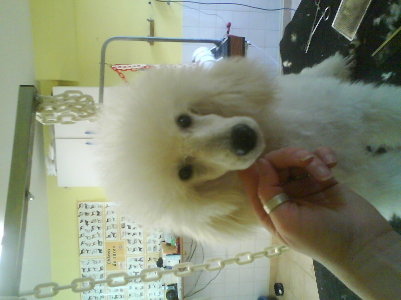 Publication : Dolce Vaquero