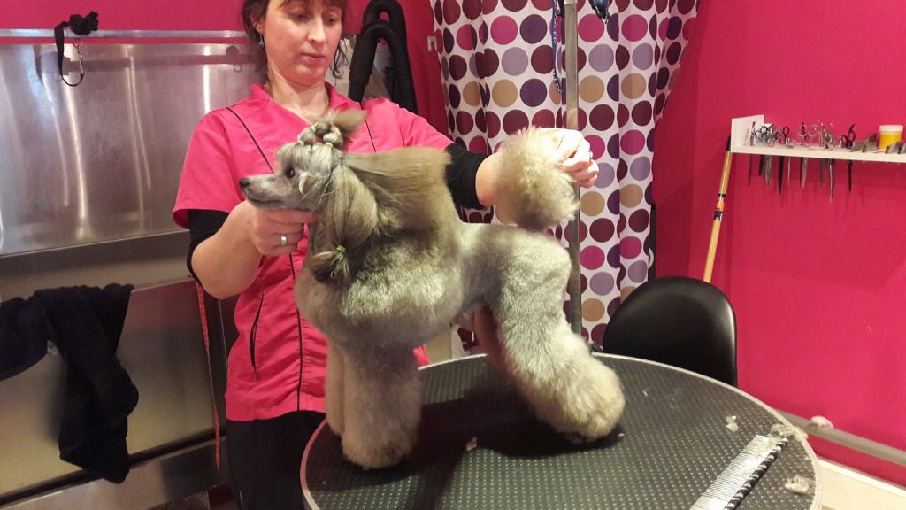 Publication : Dolce Vaquero