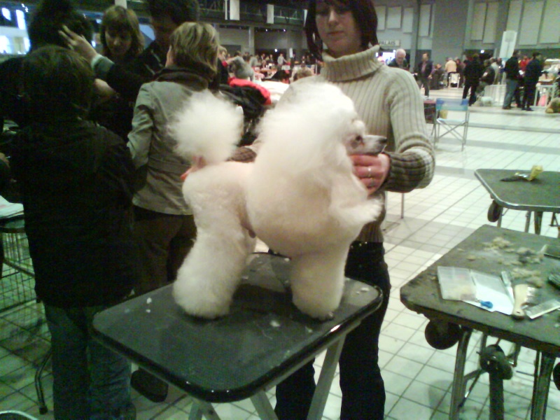 Publication : Dolce Vaquero Auteur : leroux suzy