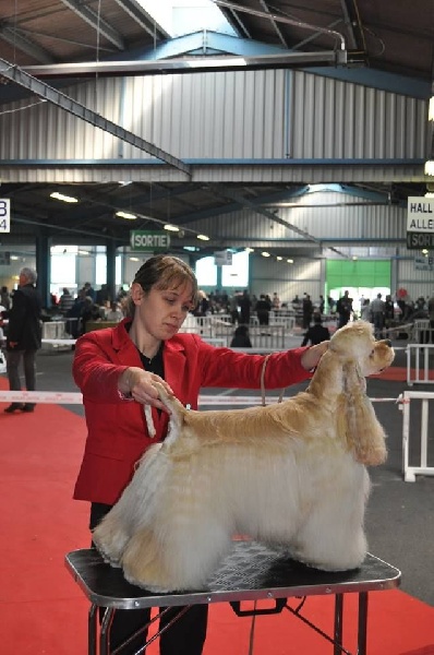 joyful event's Born to win - 1EXC CACS