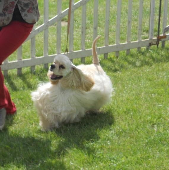 joyful event's Born to win - 1EXC classe jeune + BOBJ + BOB