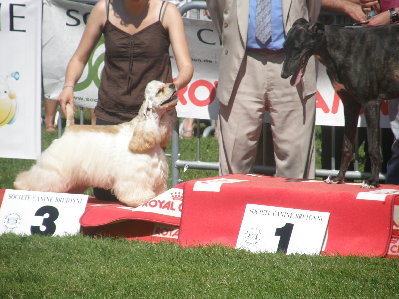 joyful event's Born to win - 1EXC BOBJ Meileur du groupe 8 et BIS3