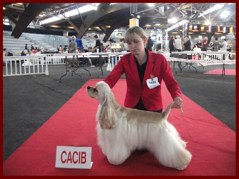 joyful event's Born to win - 1EXC CACS CACIB BOB BOG !!