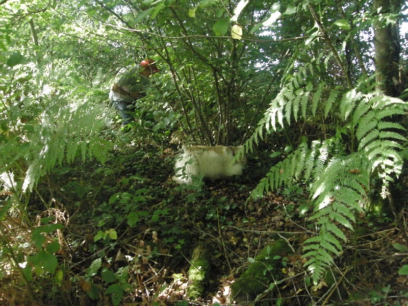 joyful event's Born to win - TAN réussi (test d'aptitudes naturelles)