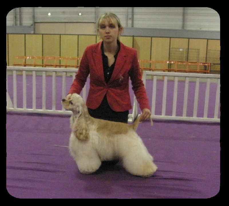 joyful event's Born to win - 1EXC CACS