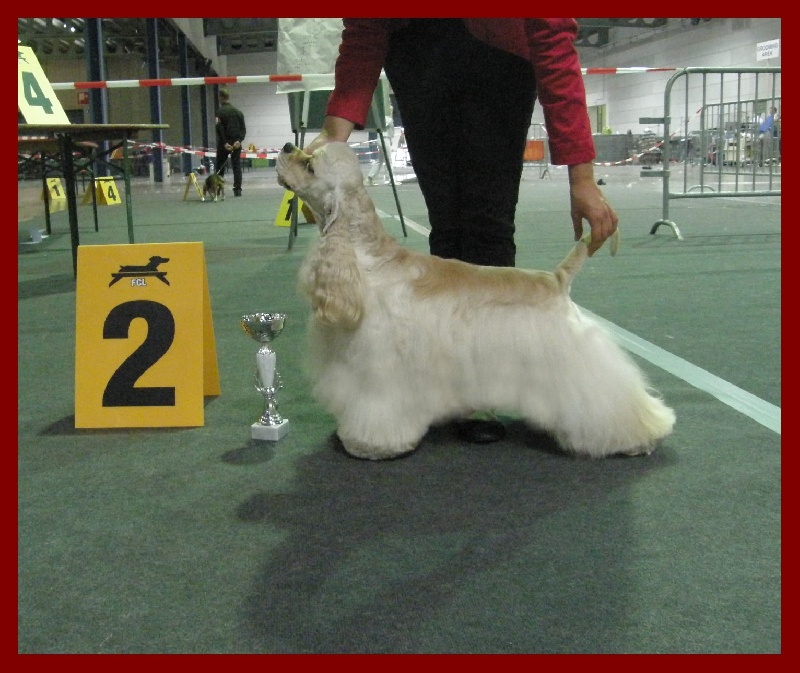 joyful event's Born to win - 2 EXC RCACL