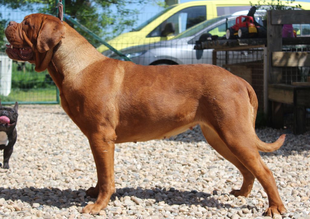 Publication : de la licorne noire Auteur : La Licorne Noire