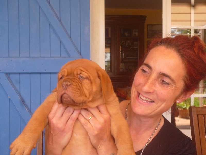 Publication : de la licorne noire Auteur : La Licorne Noire