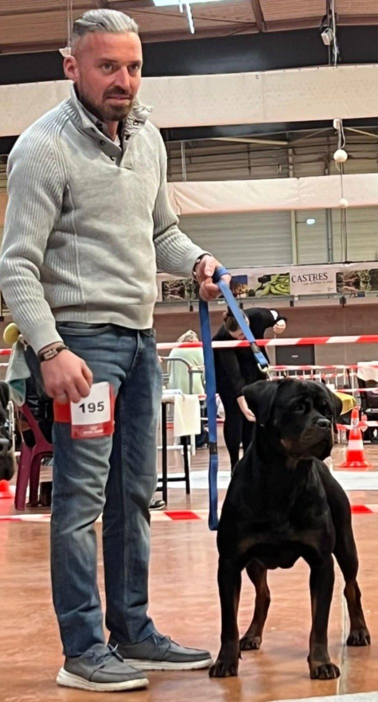 Publication : de la licorne noire Auteur : La Licorne Noire