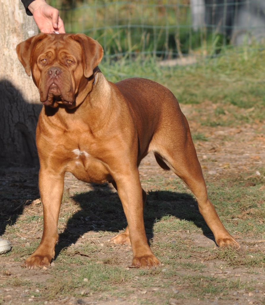 Publication : de la licorne noire Auteur : La Licorne Noire