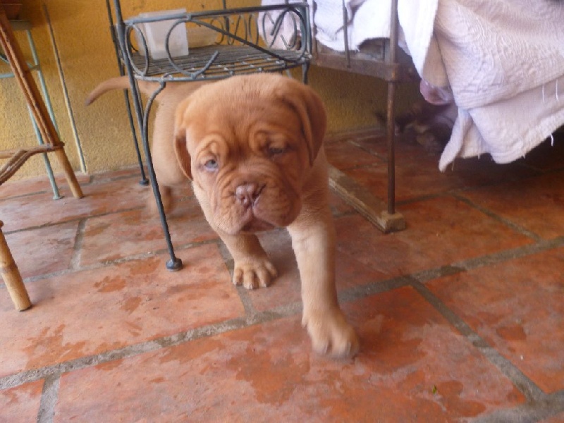 Publication : de la licorne noire Auteur : La Licorne Noire