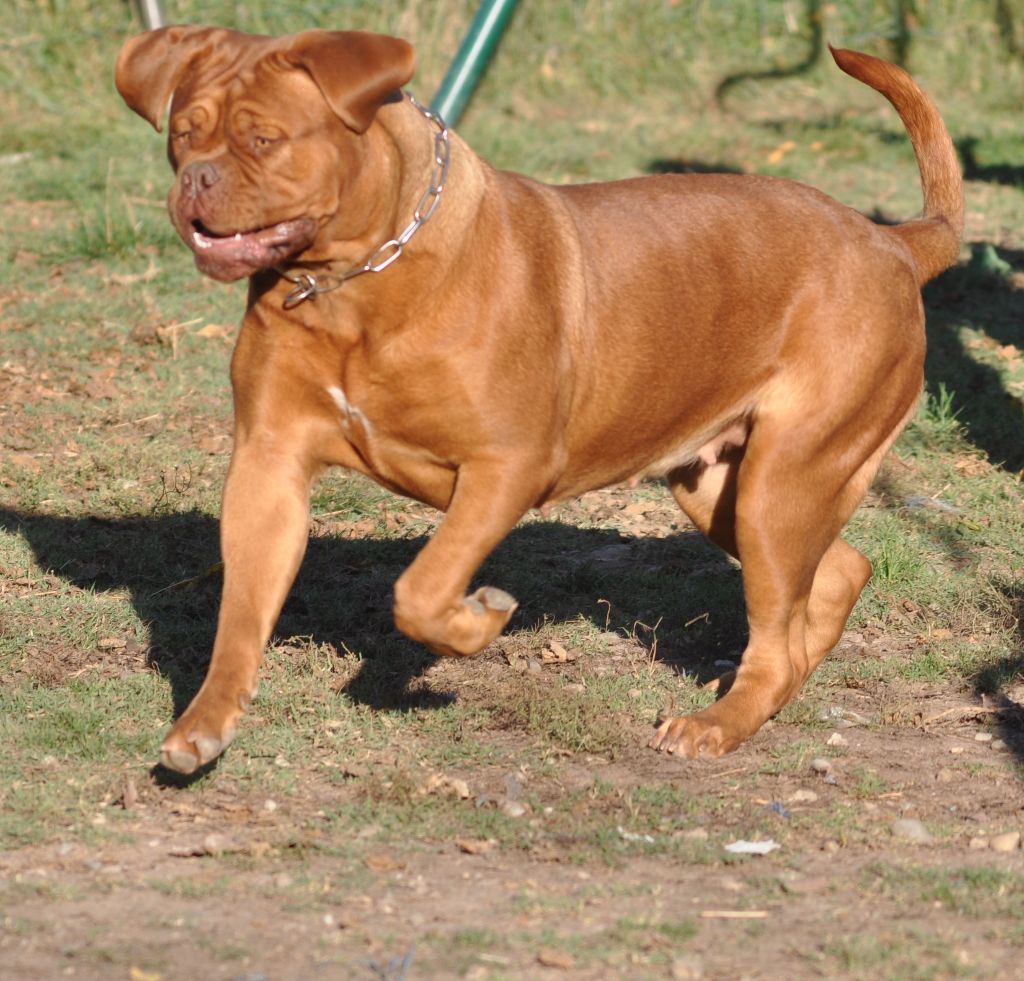 Publication : de la licorne noire Auteur : La Licorne Noire