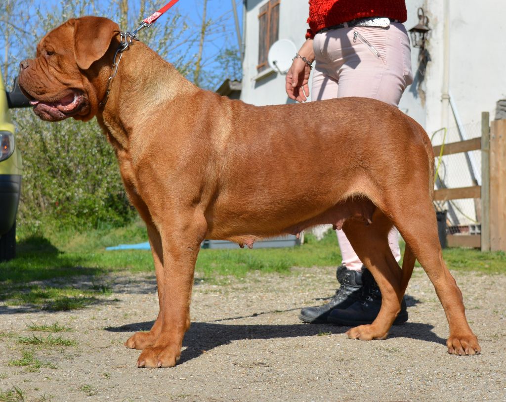 Publication : de la licorne noire Auteur : La Licorne Noire