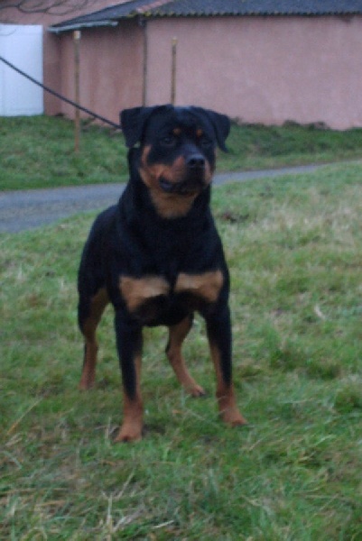 Publication : de la licorne noire Auteur : VERDU Montserrat