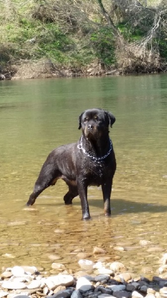 Hanthea Du Temple D'Adranos