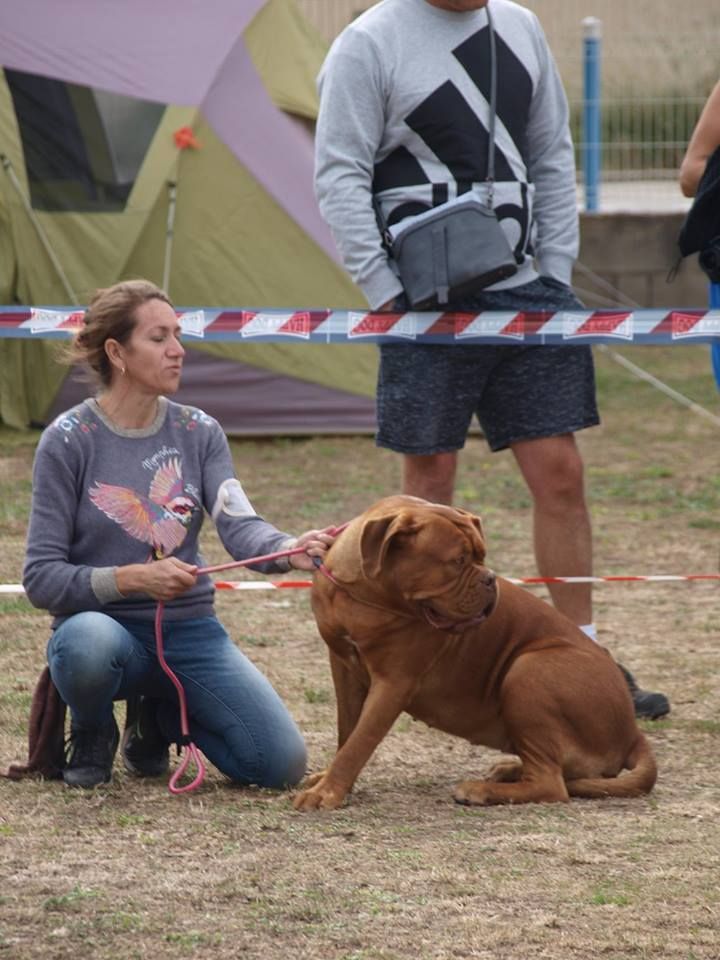 Publication : de la licorne noire Auteur : La Licorne Noire