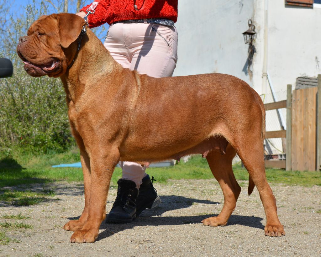 Publication : de la licorne noire Auteur : La Licorne Noire