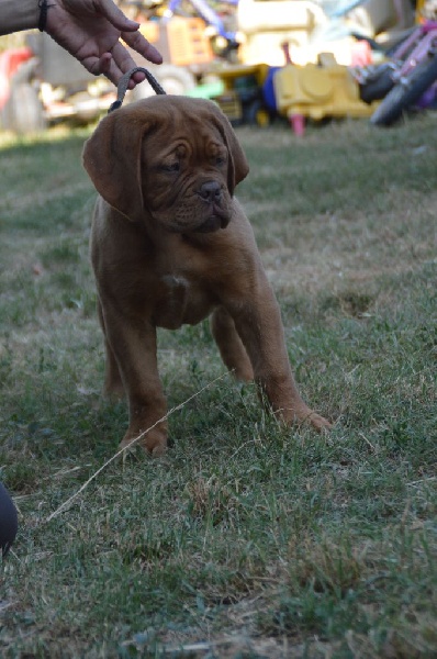 Publication : de la licorne noire Auteur : La Licorne Noire