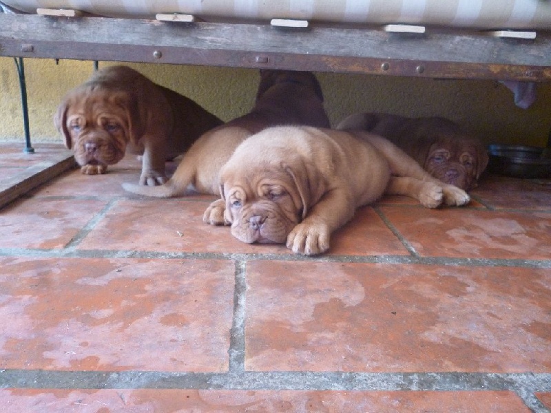 Publication : de la licorne noire Auteur : La Licorne Noire