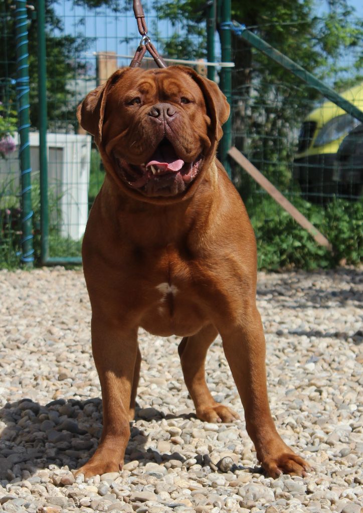 Publication : de la licorne noire Auteur : La Licorne Noire