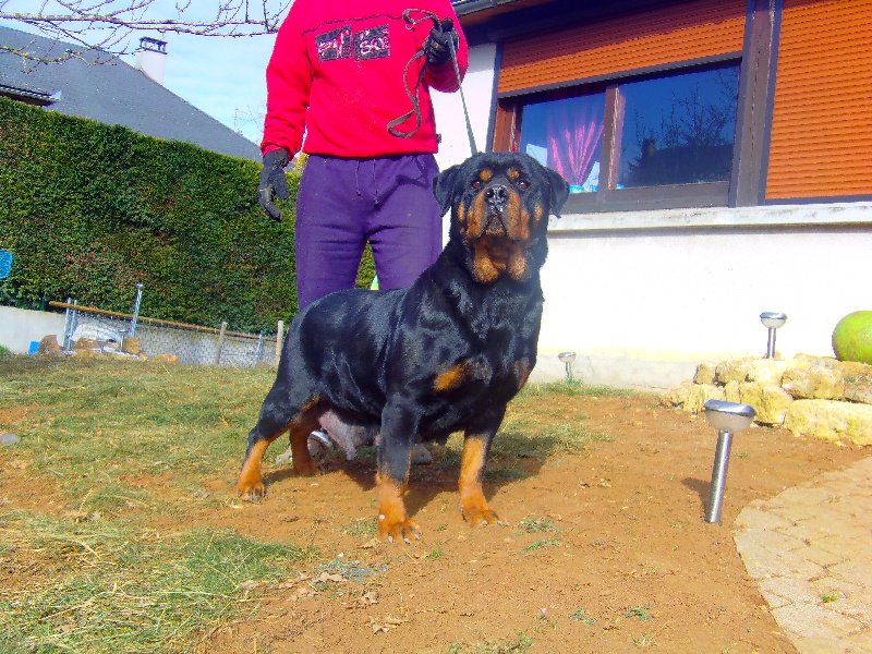 Publication : de la licorne noire Auteur : REGIS DORTE