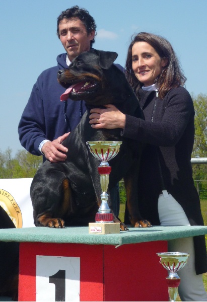 Gina de la licorne noire - 1ère TB classe travail