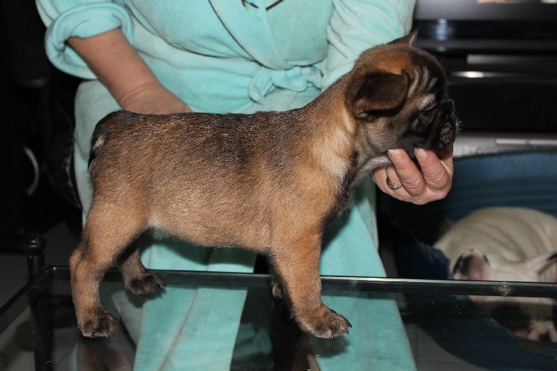 Hello angie de molosse Land